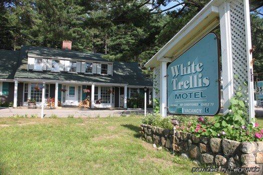 White Trellis Motel นอร์ทคอนเวย์ ภายนอก รูปภาพ