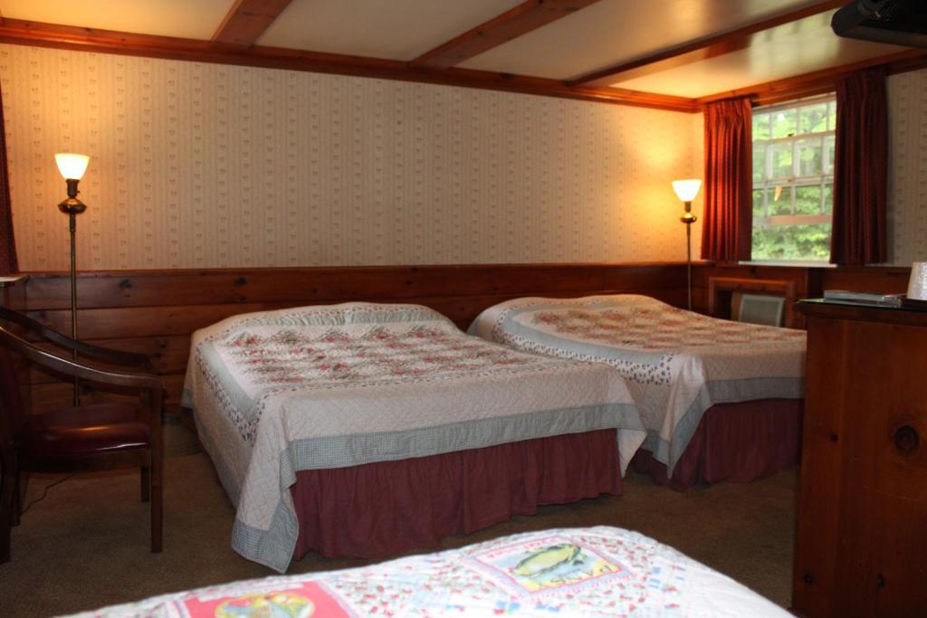 White Trellis Motel นอร์ทคอนเวย์ ห้อง รูปภาพ